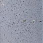 Sale Stone GRANDEX D-320